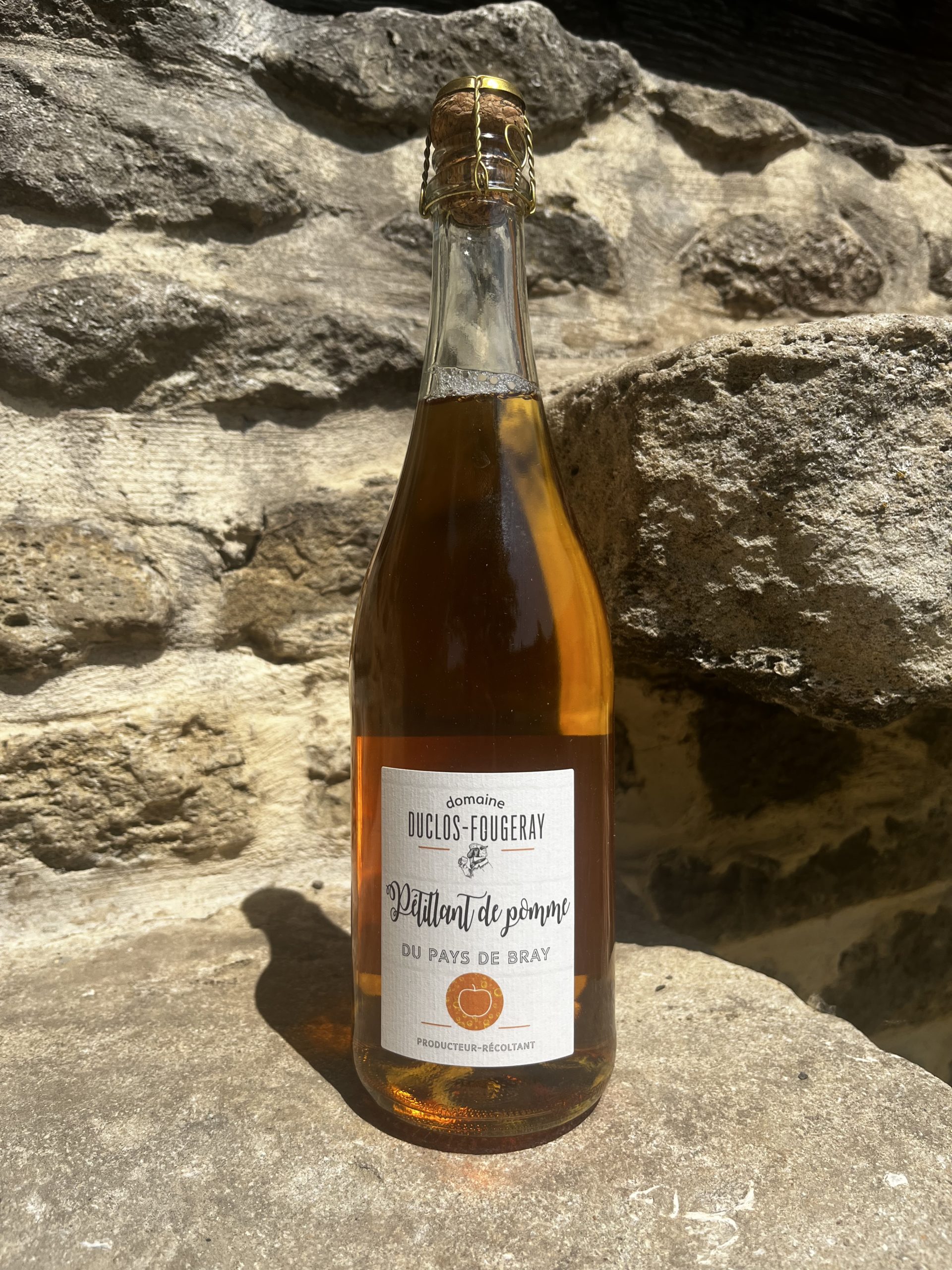 Cidre de Glace – Domaine Duclos Fougeray